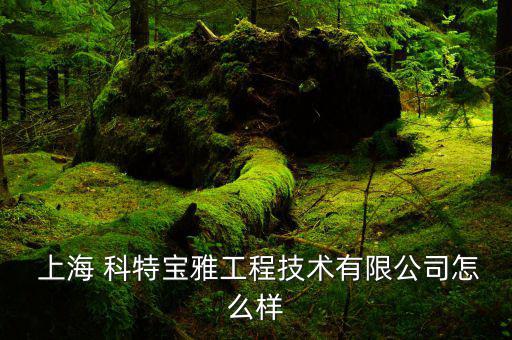 上海科特怎么樣,上?？铺氐貕|制造有限公司注冊(cè)資料及產(chǎn)品介紹