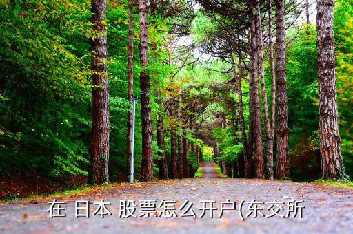 在 日本 股票怎么開(kāi)戶(hù)(東交所