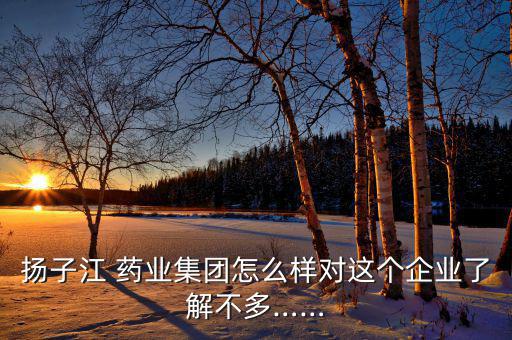 揚(yáng)子江 藥業(yè)集團(tuán)怎么樣對這個(gè)企業(yè)了解不多……