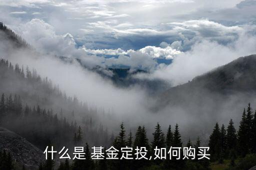 什么是 基金定投,如何購(gòu)買(mǎi)