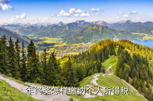 年終獎怎么交個(gè)稅,年終獎金額除以12找出適用稅率和速算扣除