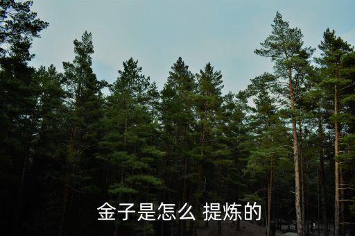 煤里面的金子怎么提煉,黃金提煉由此得出并非人工合成產物