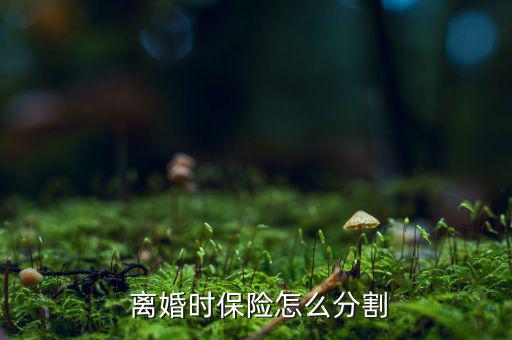 離婚時(shí)保險(xiǎn)怎么分,保險(xiǎn)公司將返還被保險(xiǎn)人退?？?/></a></span><span id=