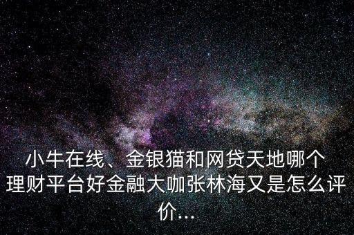  小牛在線、金銀貓和網(wǎng)貸天地哪個(gè) 理財(cái)平臺(tái)好金融大咖張林海又是怎么評(píng)價(jià)...