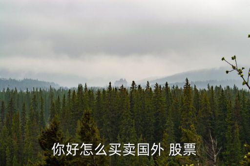 你好怎么買(mǎi)賣(mài)國(guó)外 股票