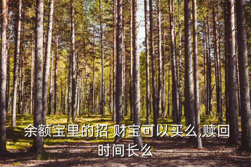  余額寶里的招 財(cái)寶可以買么,贖回時間長么