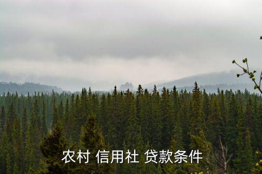  農村 信用社 貸款條件
