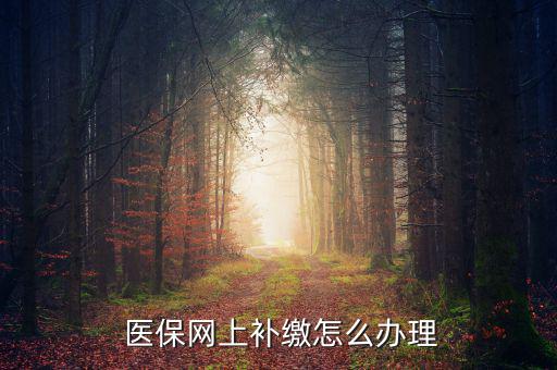 怎么補(bǔ)交醫(yī)保,因個(gè)人原因斷了社?？缮暾?qǐng)公司為自己繳納費(fèi)用