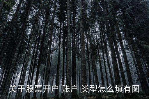 關(guān)于股票開(kāi)戶(hù) 賬戶(hù) 類(lèi)型怎么填有圖