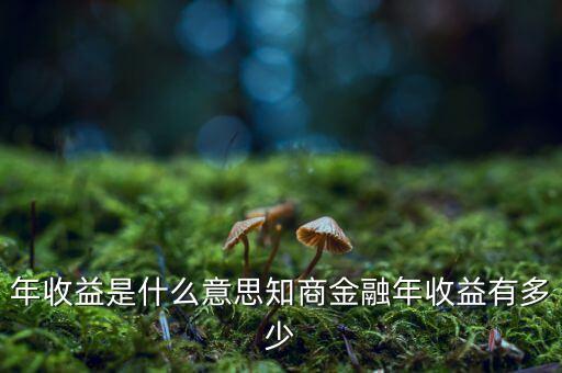 資金占用年收益是什么意思，利息支出中有個(gè)資金占用費(fèi)這個(gè)是什么意思