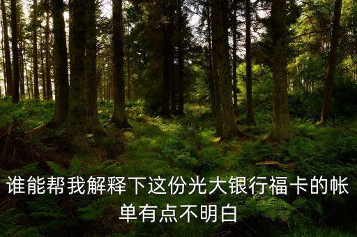 光大的賬單明細(xì)都什么意思，誰能幫我解釋下這份光大銀行?？ǖ膸斡悬c(diǎn)不明白