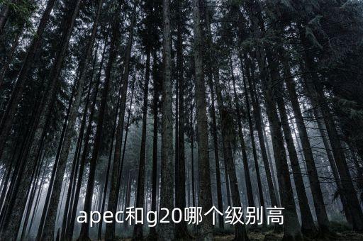 國際貿(mào)易額由什么組成，國際貿(mào)易額和對外貿(mào)易額兩者的區(qū)別