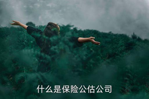 什么是承保公估，保險中的公估是什么概念