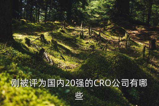 剛被評(píng)為國內(nèi)20強(qiáng)的CRO公司有哪些
