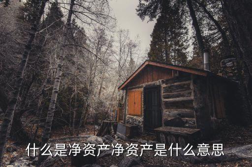什么是凈資產(chǎn)，什么是凈資產(chǎn)凈資產(chǎn)是什么意思