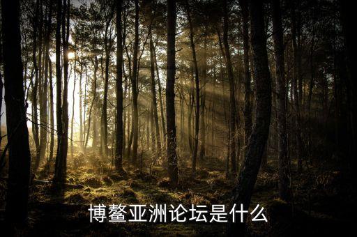 博鰲亞洲論壇是干什么的，博鰲亞洲論壇是什么