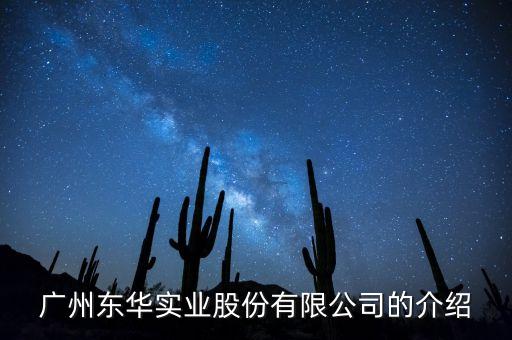 東華實業(yè)做什么行業(yè)，東華實業(yè)整體上市是哪個公司