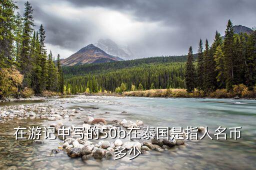 國(guó)金50b是什么，國(guó)金證券券商代碼是什么