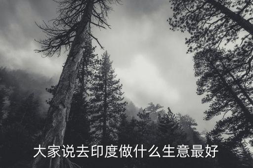 去印度做什么生意好，印度外貿(mào)做什么產(chǎn)品好