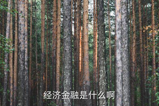 金融資源是什么，經(jīng)濟(jì)金融是什么啊