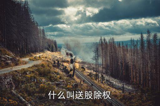 送股什么意思，什么是送轉(zhuǎn)股
