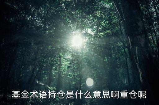 etf持倉是什么意思，基金術(shù)語持倉是什么意思啊重倉呢
