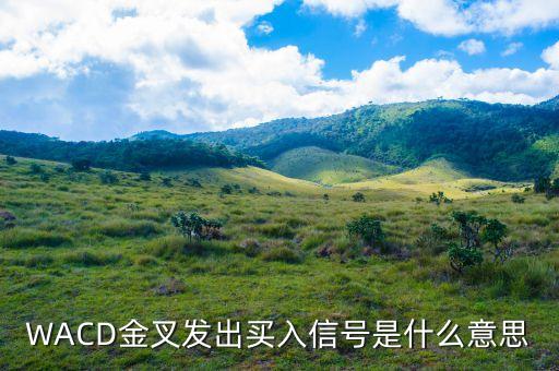 短線買(mǎi)入信號(hào)是什么意思，什么是短線買(mǎi)入
