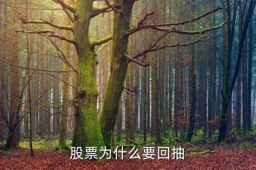 為什么回抽確認(rèn)，股價突破重要阻力位后為什么一般都要回抽確認(rèn)