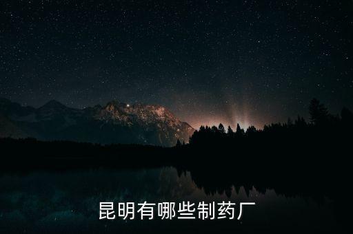 昆藥全資子公司都有什么，昆明有哪些制藥廠