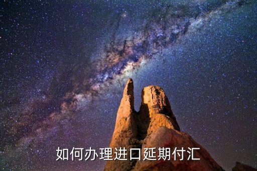 什么是進口付匯，什么是跨境貿(mào)易人民幣結(jié)算啊