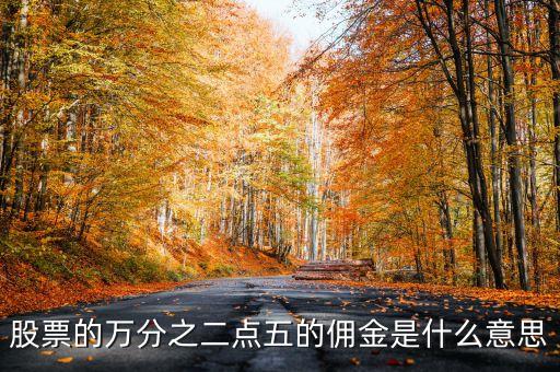萬二點五傭金什么意思，買股票萬二點五的傭金概念是咋樣的