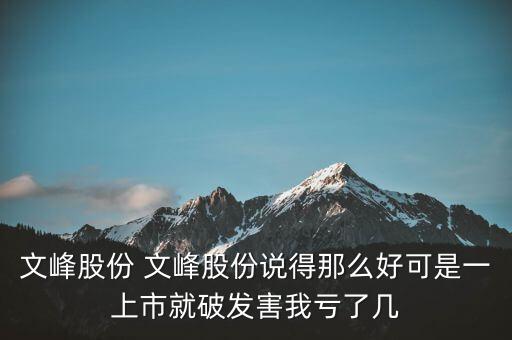文峰股份是什么公司，文峰股份怎么樣
