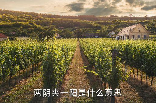 股票兩陰一陽又兩陰什么走勢，股市技術(shù)圖形兩陰一陽又兩陰后市怎樣