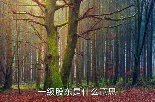 二級(jí)股東是什么意思，兩級(jí)股權(quán)結(jié)構(gòu)