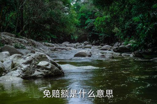 什么是免征額，免賠額是什么意思