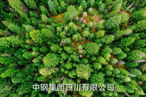 中鋼什么級別，中尉是什么等級