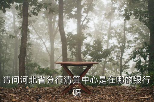河北省分行清算中心是什么，請(qǐng)問(wèn)河北省分行清算中心是在哪的銀行呀