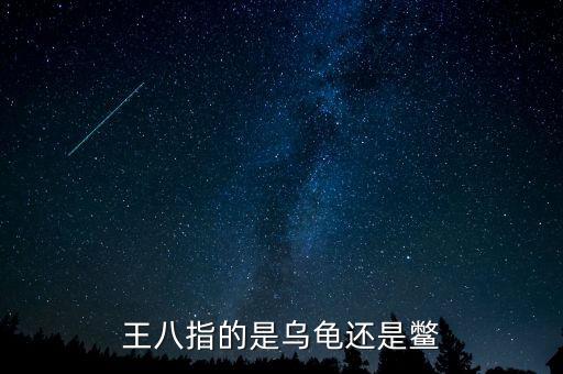 海王八指什么，什么是海王八