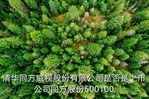 威視股份什么時候上市，威創(chuàng)股份什么時候上市