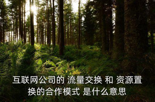 互聯(lián)網公司的 流量交換 和 資源置換的合作模式 是什么意思
