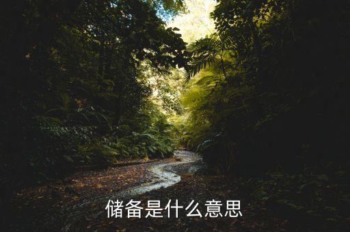 現(xiàn)金儲備是什么意思，現(xiàn)金儲備是現(xiàn)金嗎比如蘋果現(xiàn)金儲備2600億美金