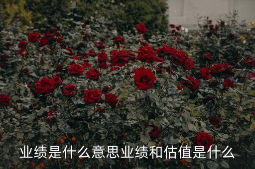 業(yè)績(jī)是什么意思業(yè)績(jī)和估值是什么