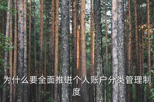 為什么進(jìn)行賬戶分類，為什么要全面推進(jìn)個(gè)人賬戶分類管理制度