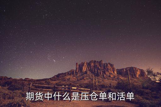 上海期貨交易所標(biāo)準(zhǔn)倉單是什么，期貨中倉單是什么