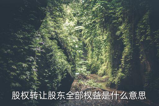 什么是全權(quán)益公司，股權(quán)轉(zhuǎn)讓股東全部權(quán)益是什么意思