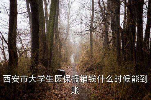 大學(xué)生醫(yī)保什么時(shí)候到賬，大學(xué)生武漢醫(yī)保報(bào)銷費(fèi)什么時(shí)候到帳啊