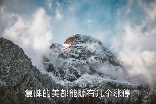 美都能源為什么停牌了，美都能源臨時(shí)停牌利好還是壞