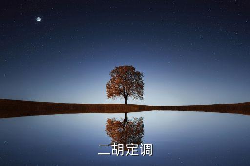 定調(diào)什么意思，二胡定調(diào)