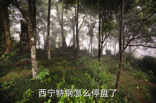 西寧特鋼為什么停牌，西寧特鋼怎么停盤了