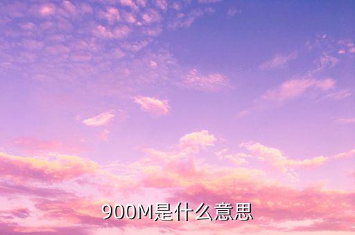 負(fù)債900m是什么意思，900m是什么意思